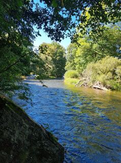 Fotografia z Helmut Neuhold na trase