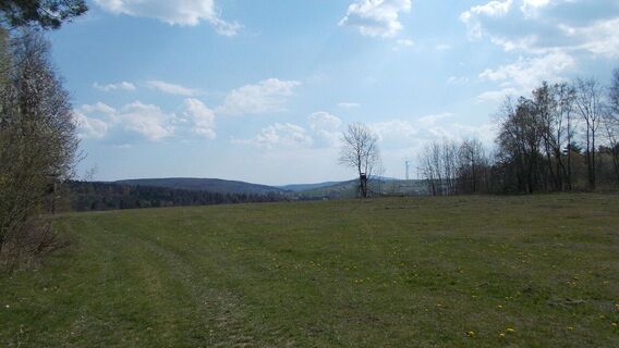 Blick von der Henkereiche