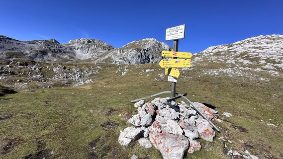 Fotografie z Mountain Cat ? ⛰️ na trase