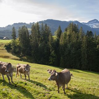 Aussicht zum Speer