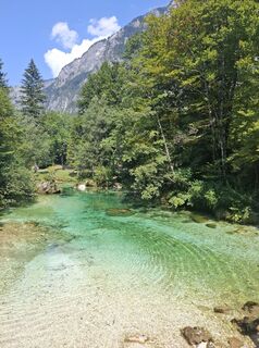 Photo de Miha Gros le long du parcours