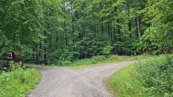 Selter-Hilswanderung (Del 1)