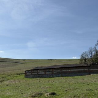 Photo de Steffen Kiesel le long du parcours