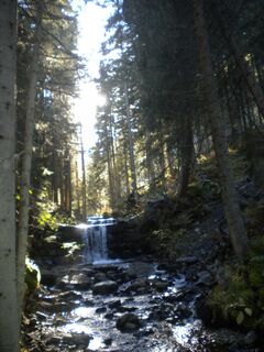 Bonnerhütte