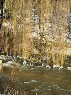 Fotografia z Babs Holz na trase