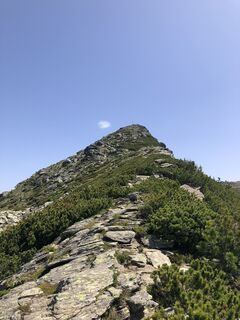 Photo de Martin Hentschel le long du parcours