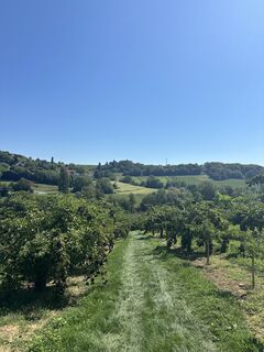 Fotografia z Aleksandra Filiakova na trase