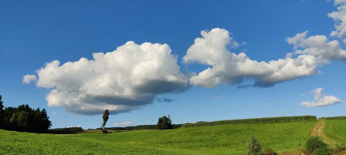 Photo de Karl Wiesinger le long du parcours