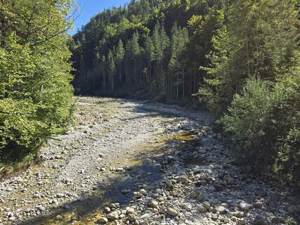 Foto von AlpenFuchs entlang der Tour
