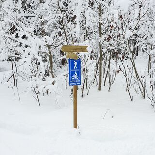 Autioniemen Winterroute, Paltamo