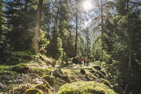 Wanderung Richtung Stallental