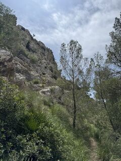 Fotografie de la Felix Wieland de-a lungul turului