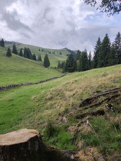 Photo de Peter Seliner le long du parcours