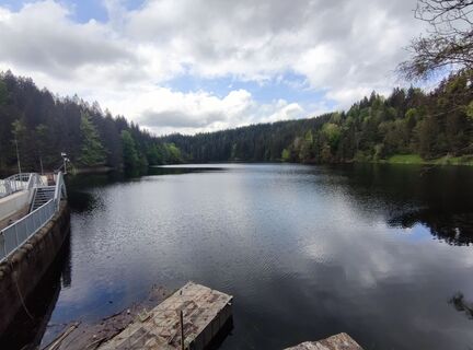 Fotografia z Mia76 na trase