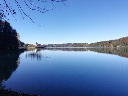 Blick auf das Schloss Fuschl