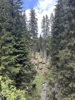 Foto von Tobias Hösli entlang der Tour