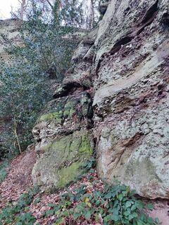 Photo de Edit Szoboszlay le long du parcours
