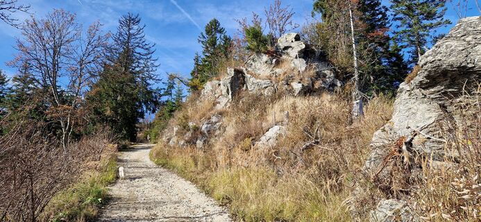 Photo de helmut sonnberger le long du parcours