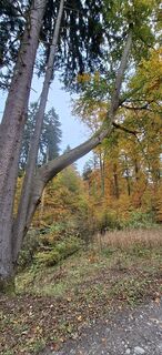 Zdjęcie z Karin-Wandert wzdłuż trasy
