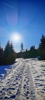 Fotografija s spletne strani ReginaSt na poti