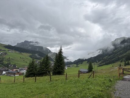 Foto von Grizzli entlang der Tour