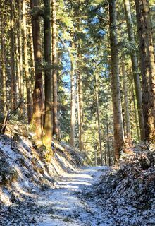 Kuva osoitteesta Thomas Schekira matkan varrella