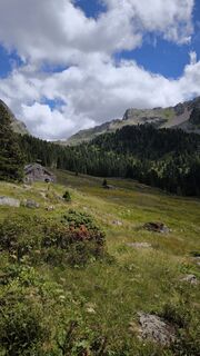Fotografia z Mirko Stefani na trase