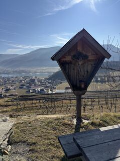 Fotografia z Bernadette Frühauf na trase