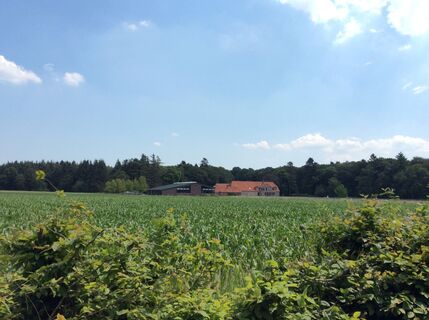Blick in die Weite