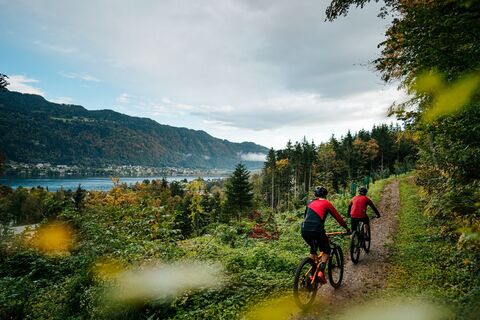 Toghy Trail T02 Ossiach