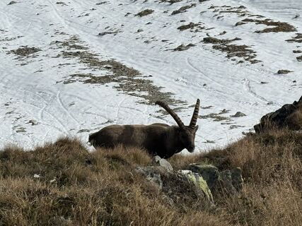 Photo from Ralph Ranner along the tour