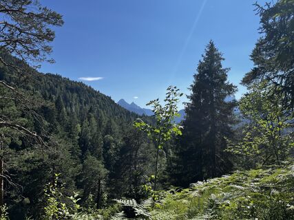 Photo de Janek Freund le long du parcours