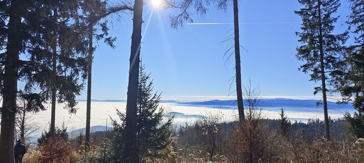 Fotografija s spletne strani Markus na poti
