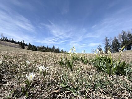 Fotografie z Anton Lilek na trase