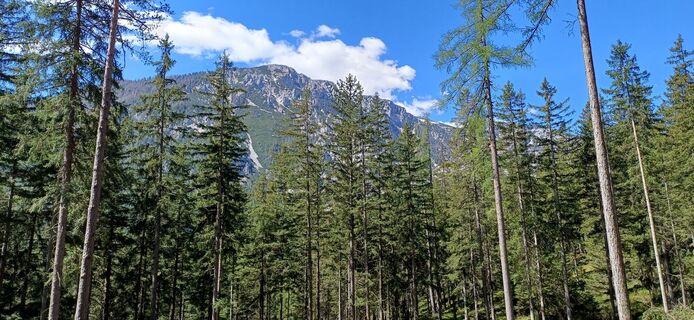 Photo de Bergfex Cros le long du parcours