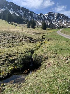 Photo from Ursula Werner along the tour