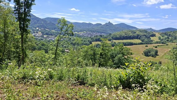 Foto von Yetizassel entlang der Tour