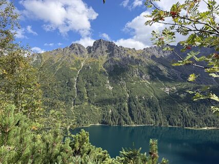 Fotografija s spletne strani Gorgi na poti