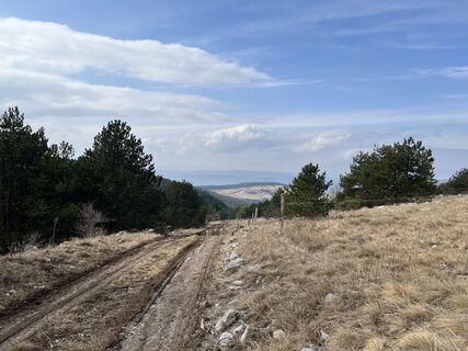 Foto de Miczur a lo largo del recorrido