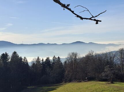 Fotografia z MaierAn na trase