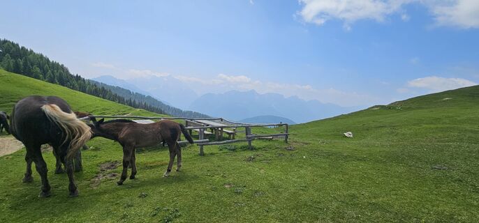 Photo de Nico le long du parcours