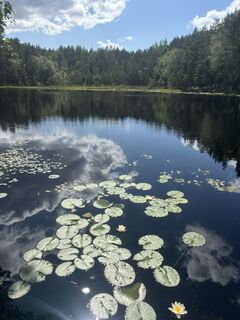 Fotografia z FriluftslivGoat na trase
