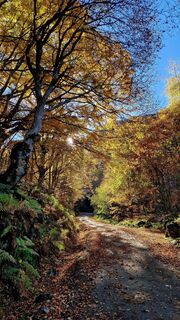 Foto von Fabrizi Mellano entlang der Tour