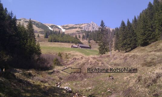 Richtung Rotsohlalm