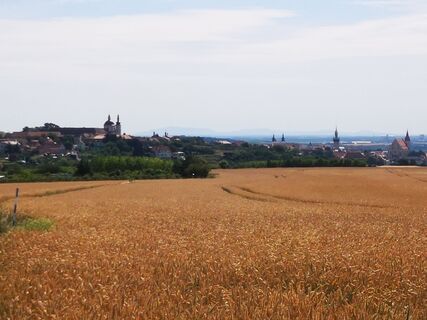 Blick zurück auf Znaim