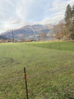 Photo de David 16 le long du parcours