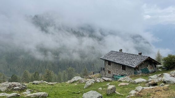 Fotografija s spletne strani Diego Morri na poti