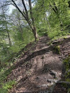 Fotografia z Thorsten Strüver na trase