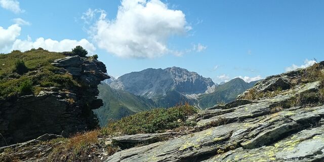 Foto de Heliamus a lo largo del recorrido