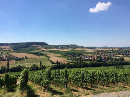 Wein Wege, Pfedelbach-Heuholz
